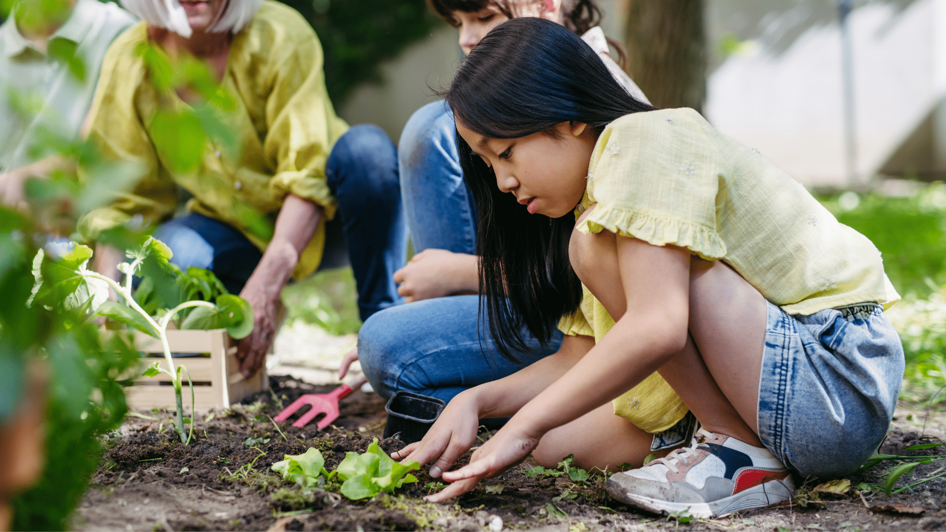 Teacher and young students planting seedling in the soil in a school garden during outdoor science lesson.