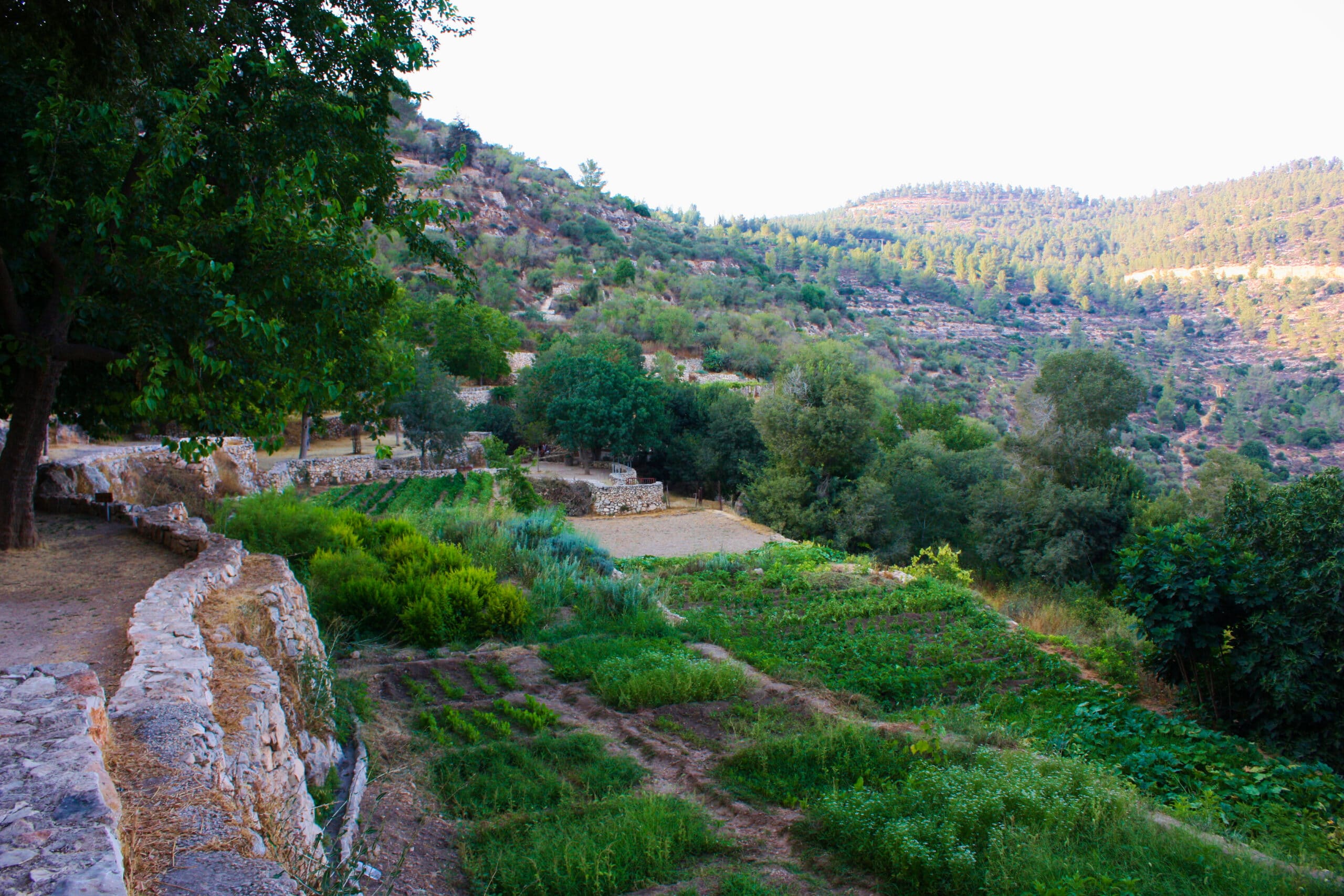 A lush terraced hillside landscape with stone retaining walls, green vegetation, and cultivated garden plots, surrounded by trees and rolling hills in the background under a clear sky.
