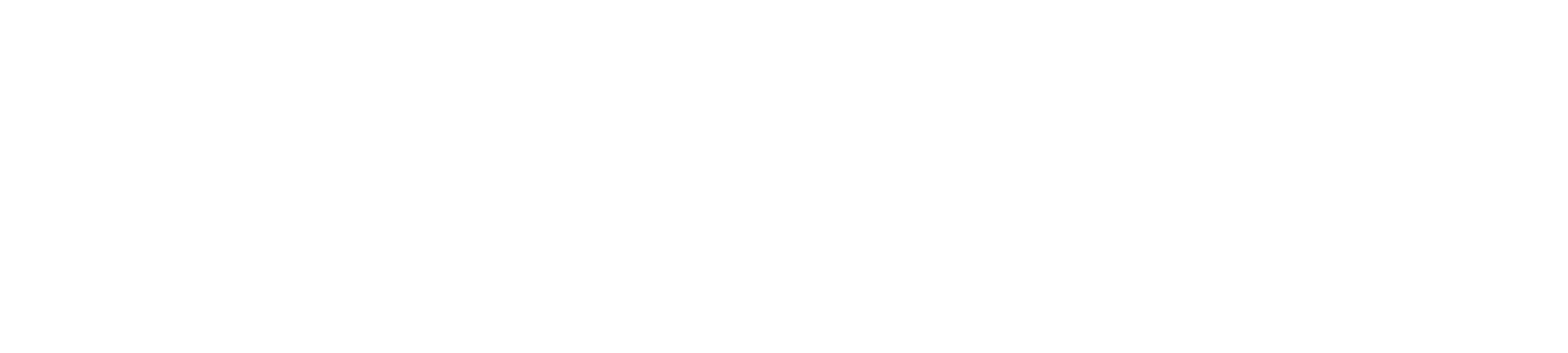 bookreport white logo