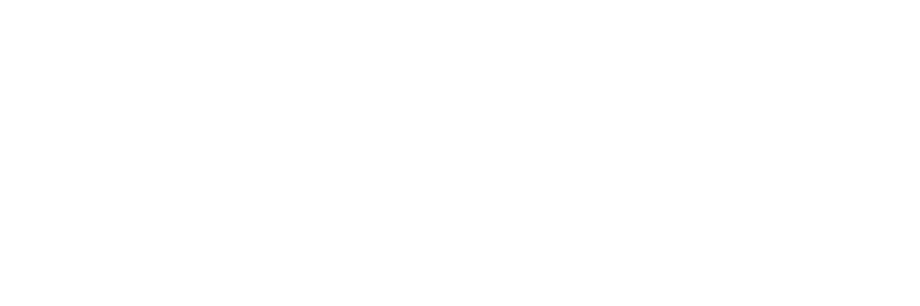 Toddle white logo