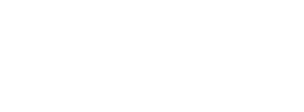 White logo for WDS Construction